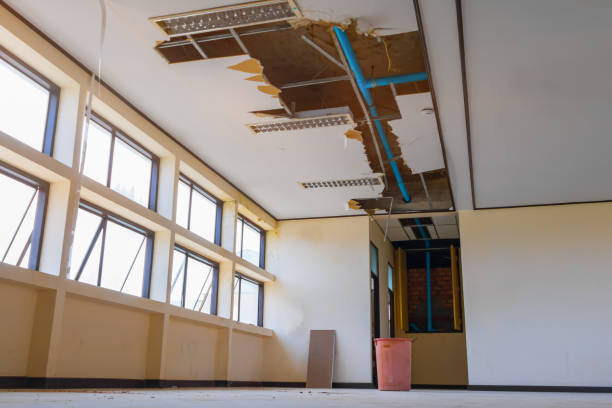 Best Water damage restoration experts  in White City, FL
