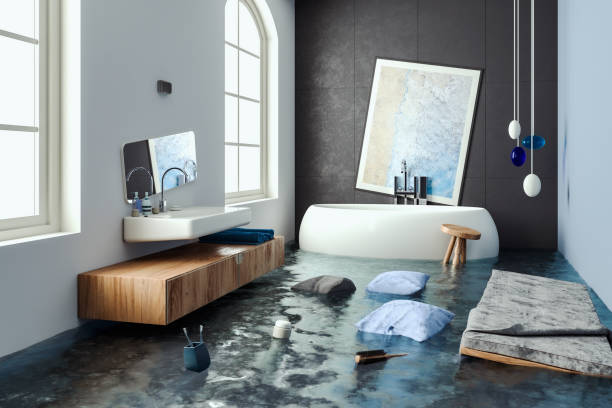 Best Water damage restoration near me  in White City, FL