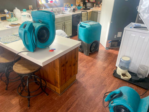 Professional Water damage restoration in FL