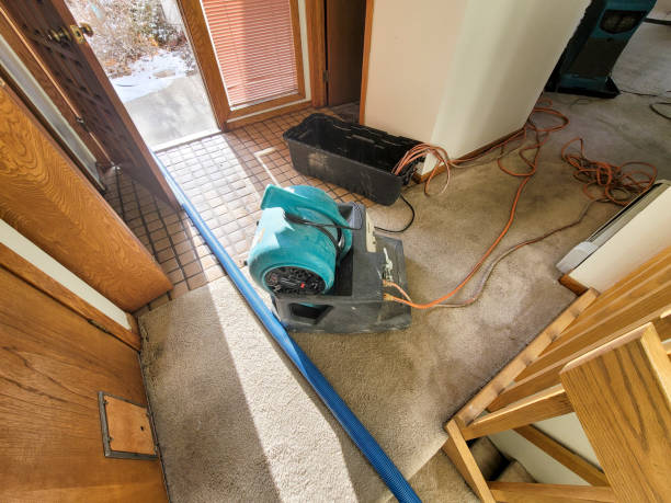 Best Flood damage cleanup  in White City, FL