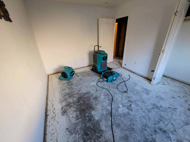 Best Water damage contractors near me  in White City, FL