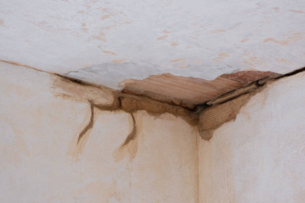 Best Sewage cleanup and water damage restoration  in White City, FL