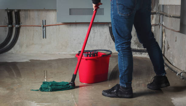 Best Water damage restoration insurance claims  in White City, FL
