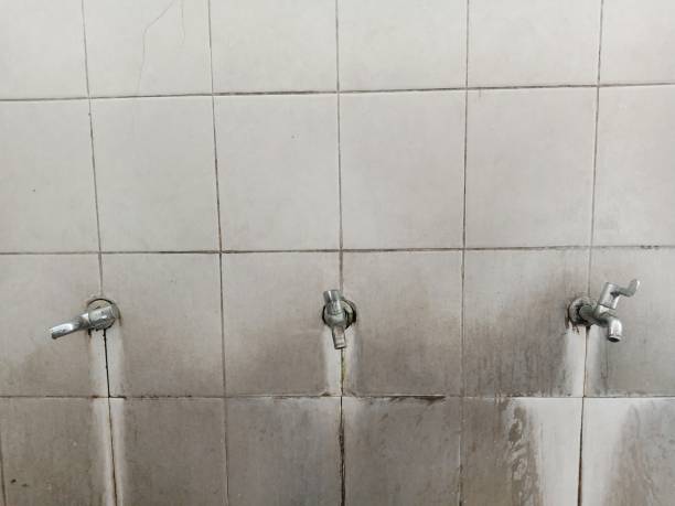 Best Commercial water damage restoration  in White City, FL