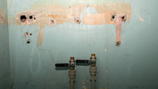 Best Residential water damage restoration  in White City, FL
