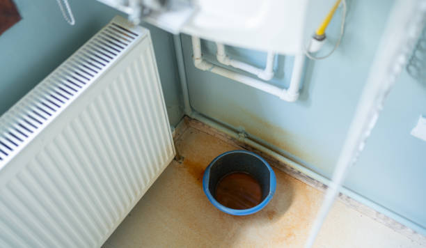 Best Water damage contractors near me  in White City, FL