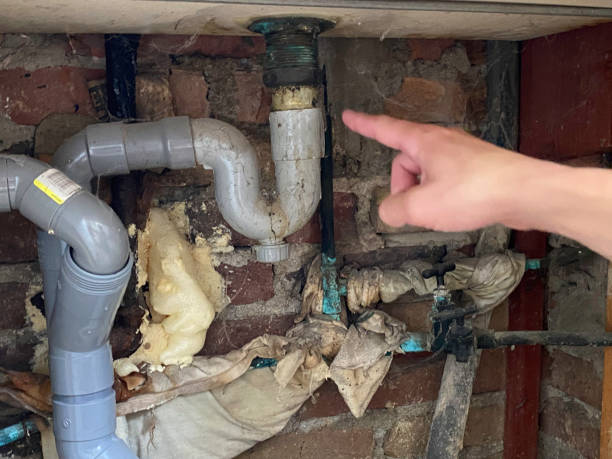 Best Water damage cleanup near me  in White City, FL